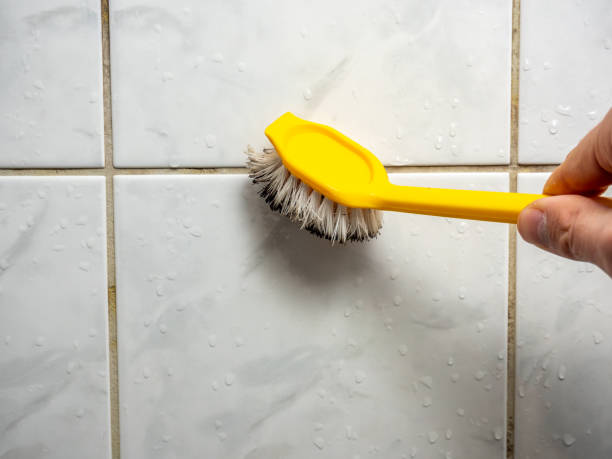 Best Emergency Mold Removal  in Emory, TX