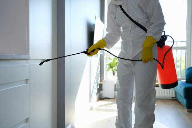 Reliable Emory, TX Mold Removal Solutions