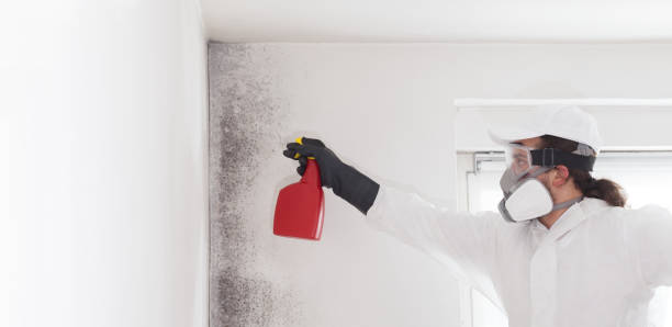 Best Home Mold Removal  in Emory, TX